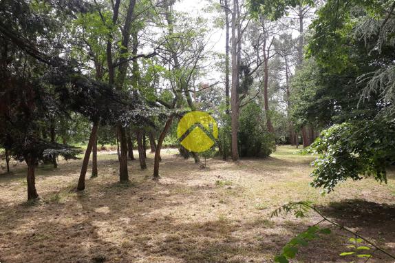 Terrain  loisirs bord du Cher