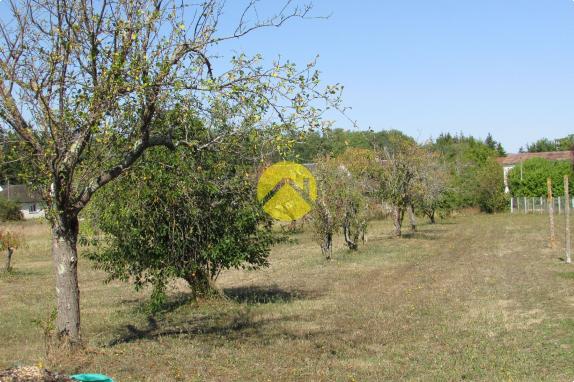 Terrain a Bâtir 