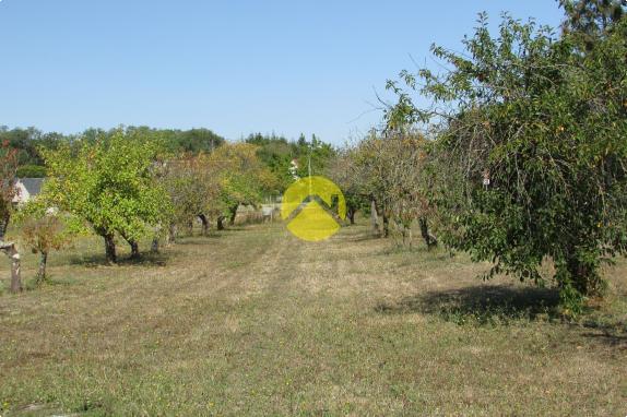 Terrain a Bâtir 