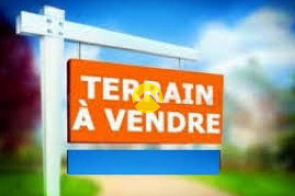 Terrain dans ZI pour pro