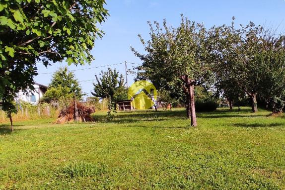 Maison avec pré-mare non attenant