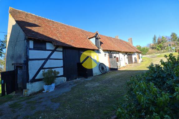 Fermette / Longere   de plus  1 Ha Vailly sur sauldre, 4 pièces à vendre