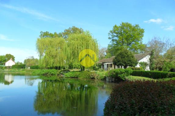 UN COIN DE PARADIS