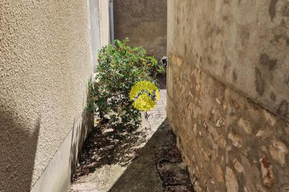 Fort potentiel !