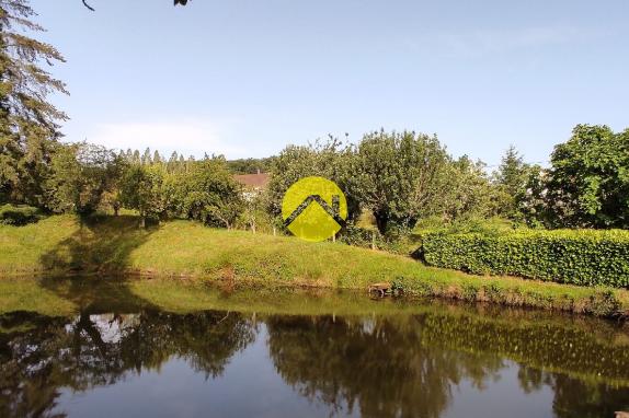 Proche forêt de Tronçais