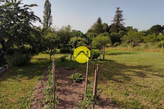 Proche forêt de Tronçais