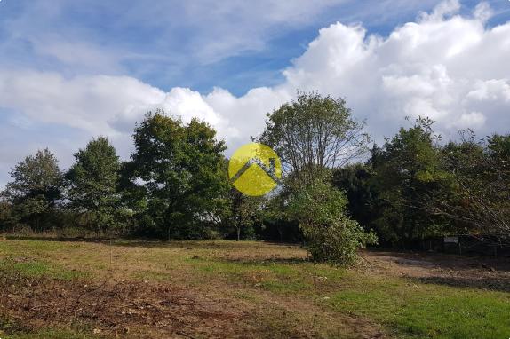 Terrain à Bâtir Saint georges sur moulon, 1800m2 à vendre