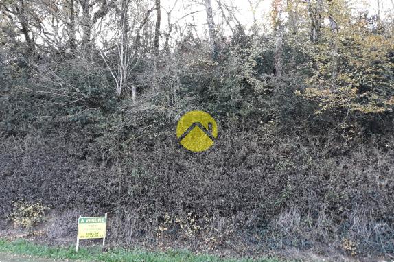 terrain à Bâtir