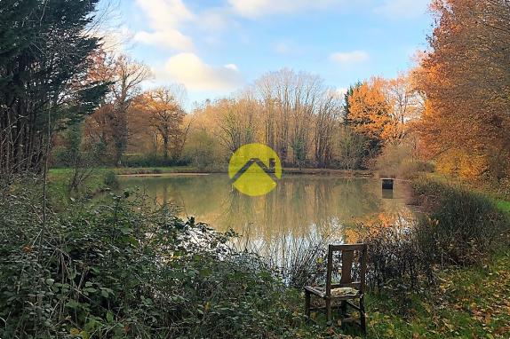 ETANG BAISSE DE PRIX