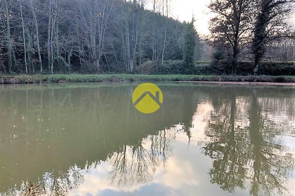 ETANG BAISSE DE PRIX