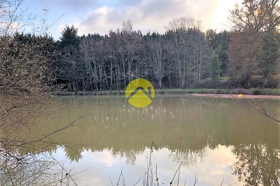 ETANG BAISSE DE PRIX