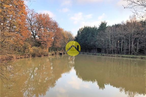 PÉCHEURS, À VOS LIGNES!!