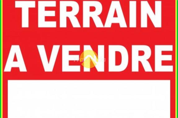 terrain