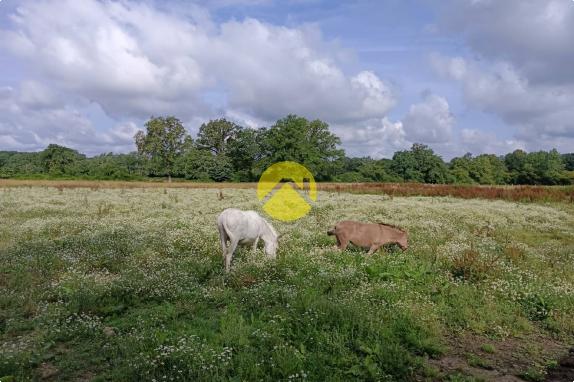 Corps de ferme sur 1ha78a38ca