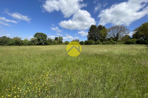 Terrain constructible 3 065m²