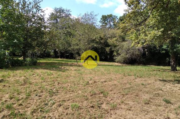 Maison sur 5860 m² de terrain