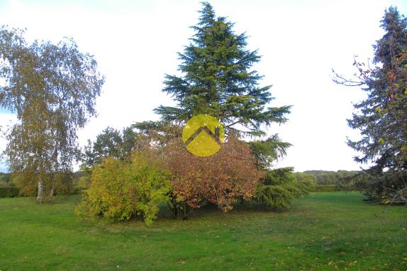 LONGERE- BAISSE DE PRIX