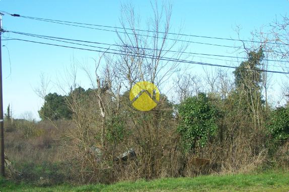 TERRAIN HORS LOTISSEMENT 