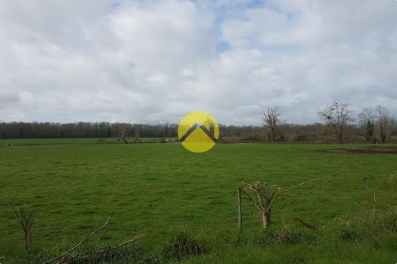 LONGERE 190M²