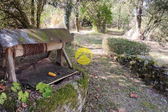 maison en campagne