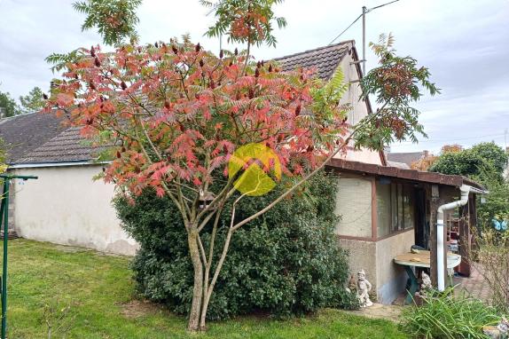 Maison / Pavillon Issoudun, 4 pièces à vendre