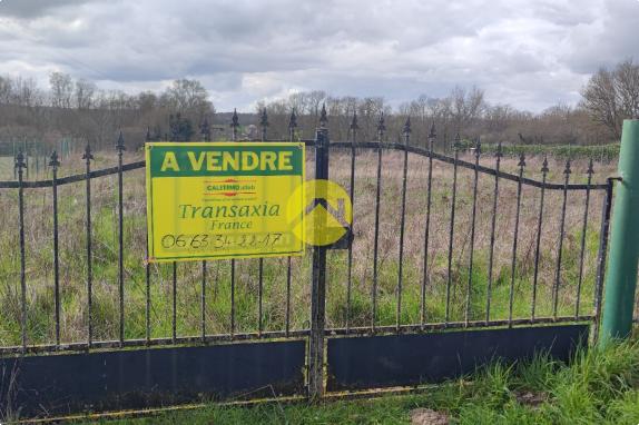 TERRAIN CONSTRUCTIBLE 1000 m²