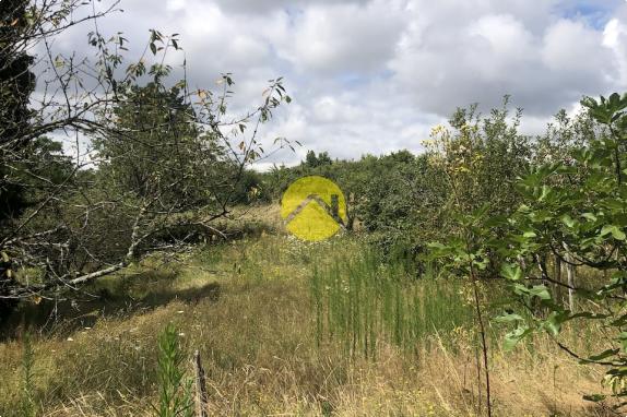 Terrain de loisirs avec verger