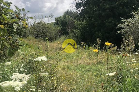 Terrain de loisirs avec verger