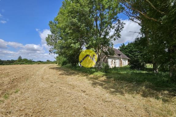 maison de compagne au calme