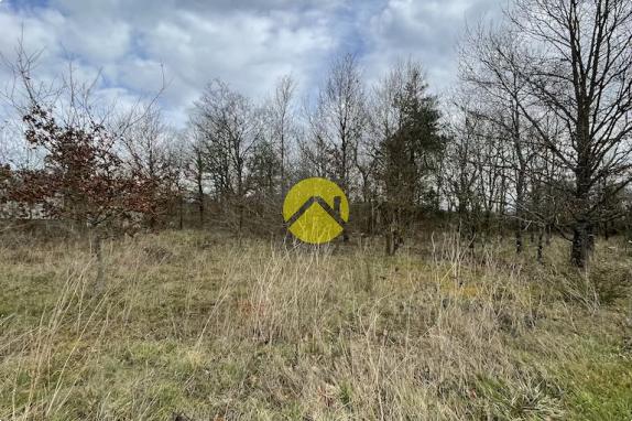 Beau terrain de loisirs plat