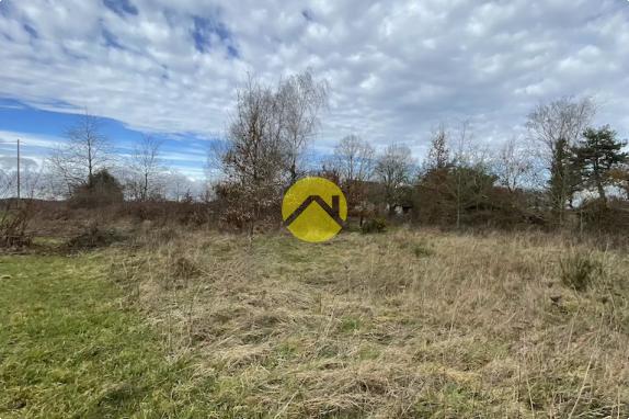 Beau terrain de loisirs plat