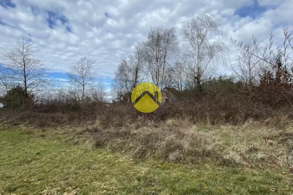 Beau terrain de loisirs plat