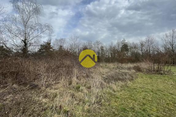 Beau terrain de loisirs plat