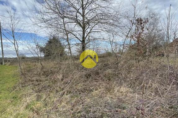 Beau terrain de loisirs plat