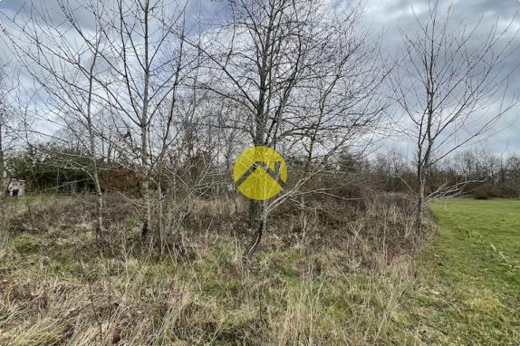 Beau terrain de loisirs plat