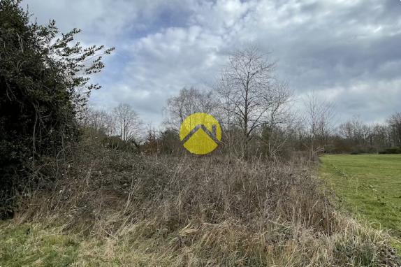 Beau terrain de loisirs plat
