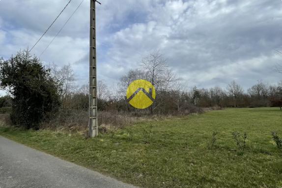 Beau terrain de loisirs plat