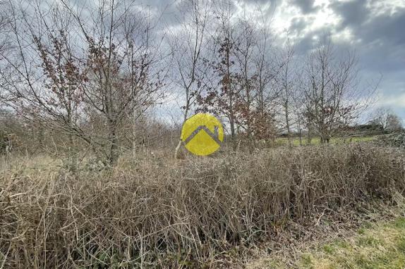 Beau terrain de loisirs plat