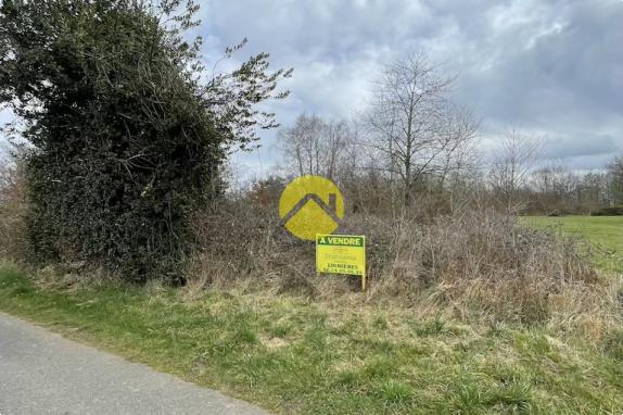 Beau terrain de loisirs plat