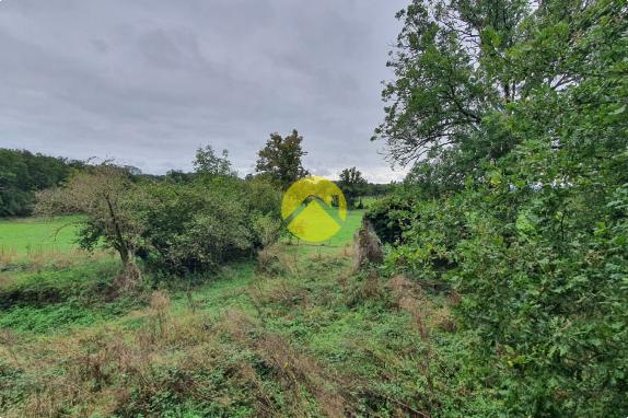 Maisons à rénover au calme 