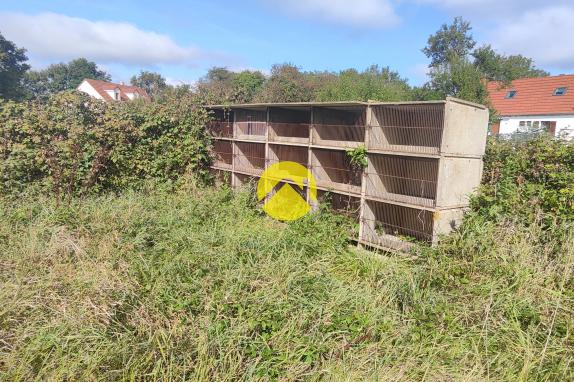 LONGERE EN PLEINE CAMPAGNE