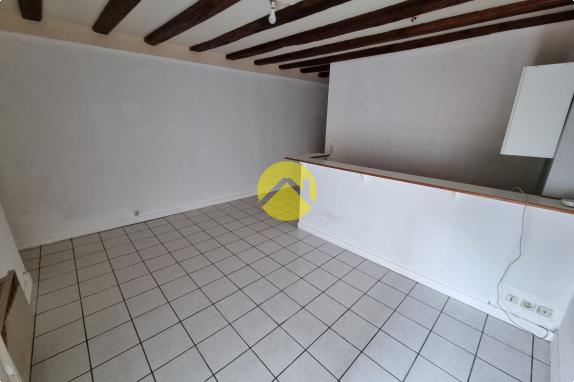 APPARTEMENT AVEC GRANDE COUR