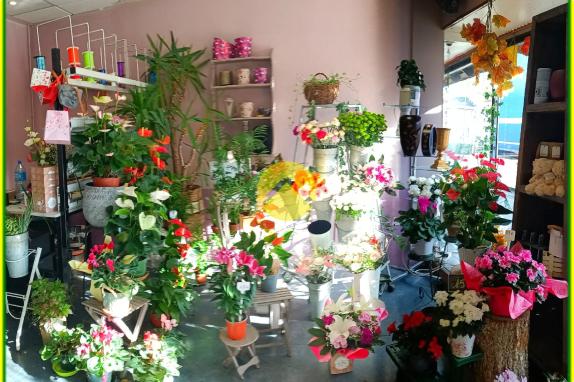 HABITATION / LOCAL COMMERCIAL 