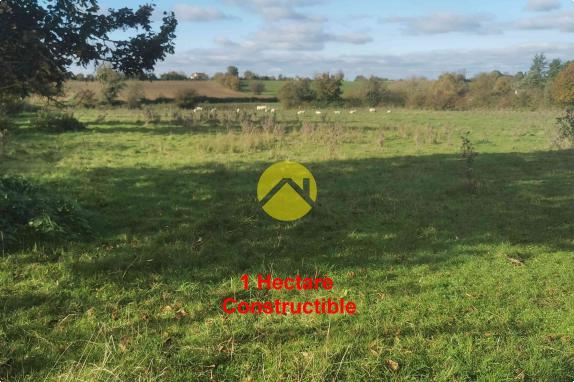 1 hectare pour 8 maisons