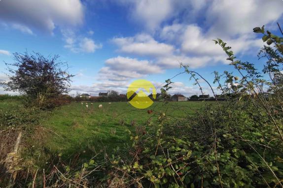 1 hectare pour 8 maisons