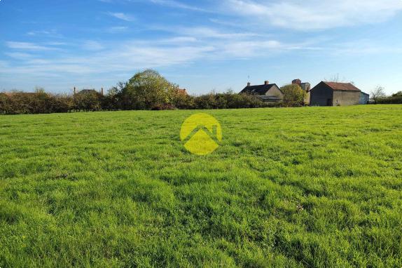 Maison+Grange sur 1 ha !