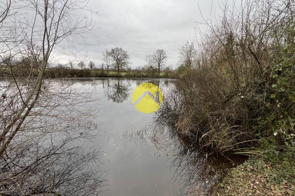 Etang et bois