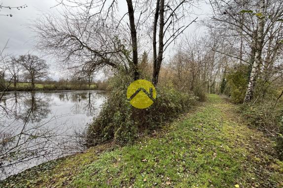 Etang et bois