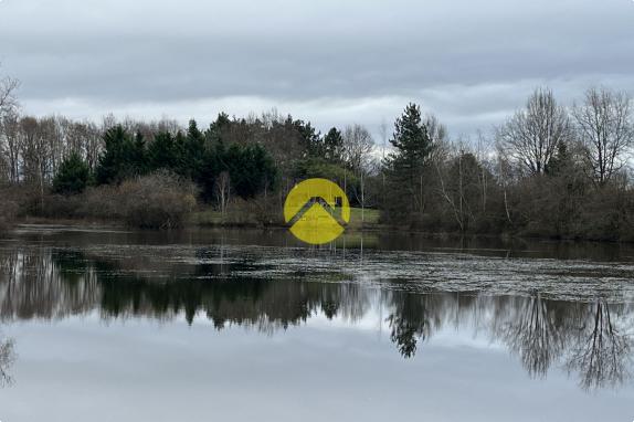 Etang et bois