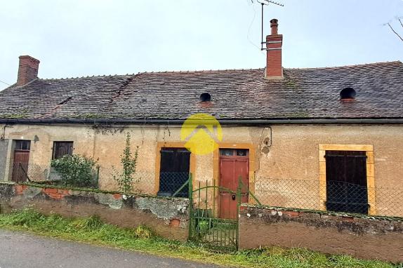 Proche de la forêt de Tonçais